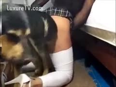 The wife of the school nasty slut is a zoophile.